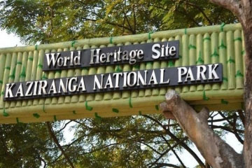 cheeranpunjee kaziranga tour package