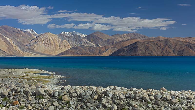 tso moriri lake tour